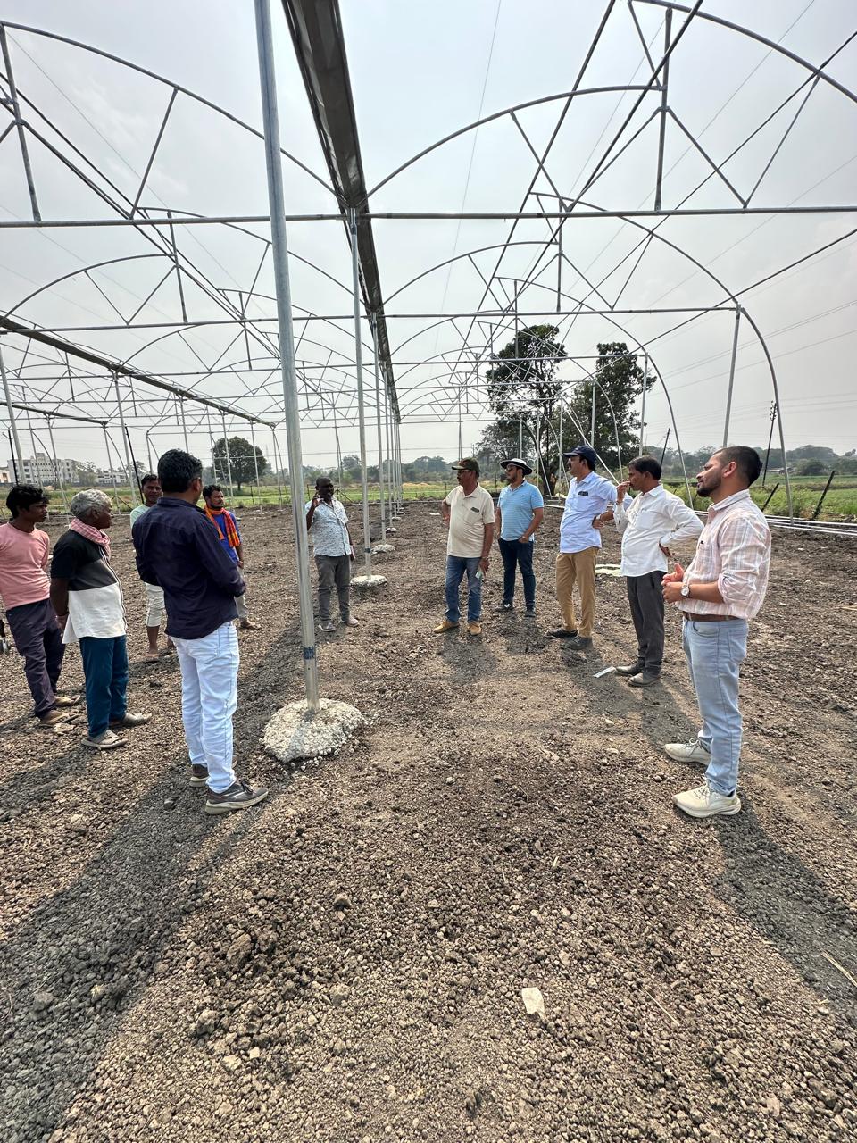 Greenhouse Project 78